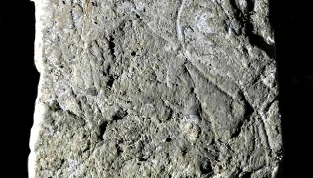 El Cenieh investiga el arte paleolítico de la Península Ibérica