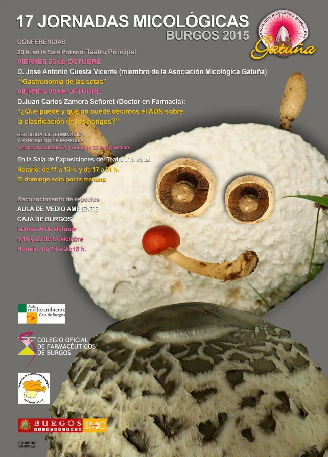 Burgosnoticias.com - Información, noticias, actualidad, deportes y sucesos de Burgos