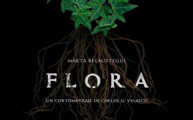 Un burgalés tratará de conquistar Valladolid con Flora
