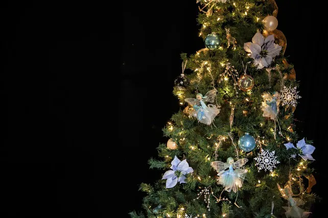 Actualidad Burgos: 10 consejos para evitar robos en casa durante las Navidades