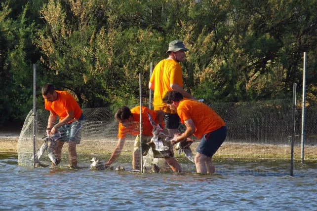 Castilla y León Burgos: Más de 4.000 personas participan en el programa de Voluntariado Ambiental en Espacios Naturales