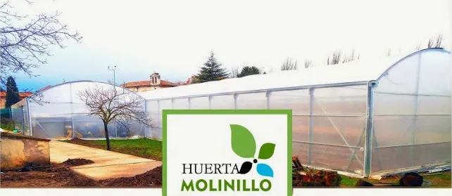 Local Burgos: Una huerta ecológica en el centro de Burgos