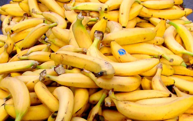 Actualidad Burgos: 20.000 kilos de plátano para el Banco de Alimentos