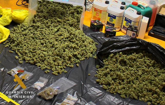 Desmantelado un impresionante laboratorio de Marihuana
