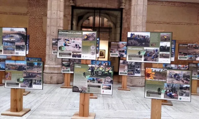 El patio de la Casa del Cordón nos enseña los trabajos de voluntariado ambiental 2015