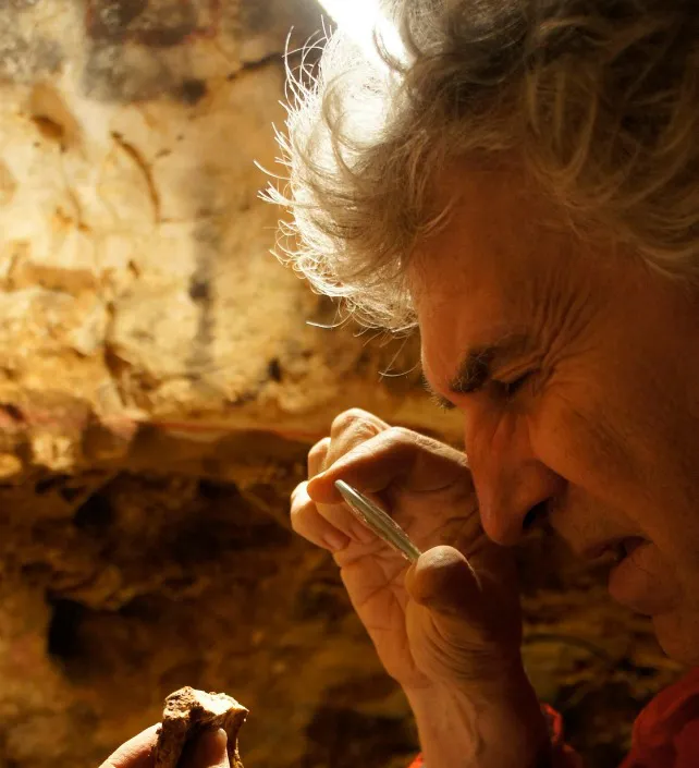 Recuperado ADN nuclear de hace 430.000 años en fósiles humanos de la Sima de los Huesos