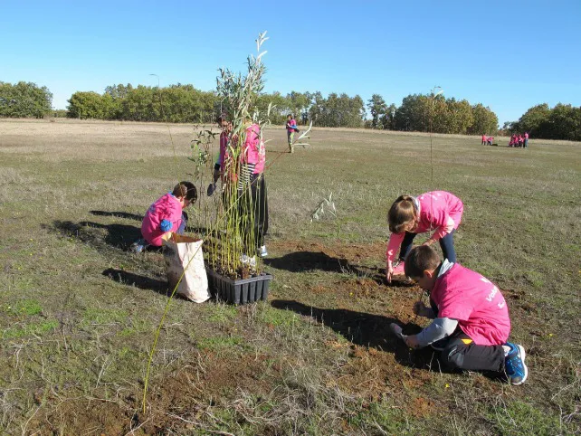 Cerca de 1.700 plazas para el programa de Voluntariado Ambiental en la Comunidad