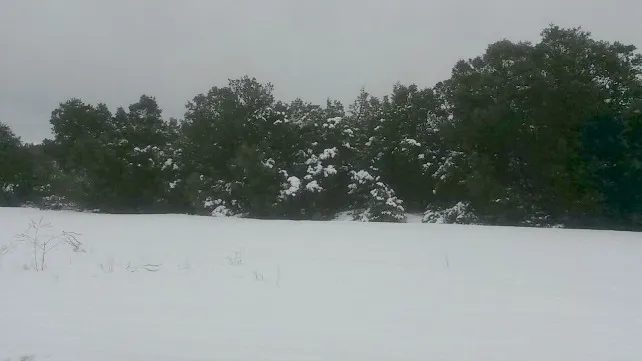 Nevadas y fuertes vientos desde esta noche