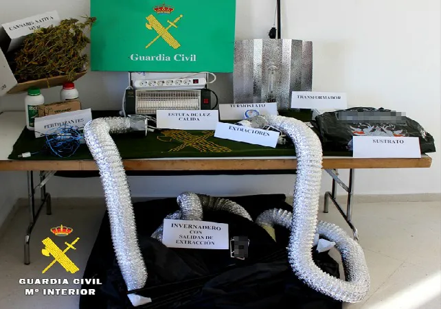 Desmantelado un laboratorio de marihuana con fraude por fluido eléctrico