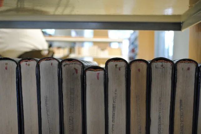 Educación Burgos: Los libros cobran protagonismo en el CAB este fin de semana