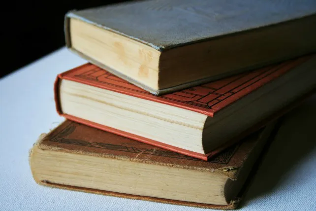 Educación Burgos: Los libreros salen a la calle el 23 de abril
