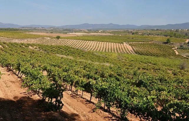 Si eres agricultor y quieres entrar por primera vez como ecológico, tienes hasta 16 mayo