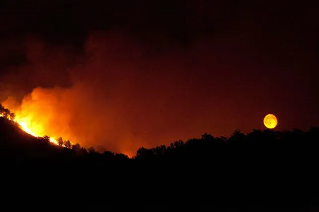 La Junta trabaja para mejorar la coordinación de Protección Civil en materia de incendios forestales