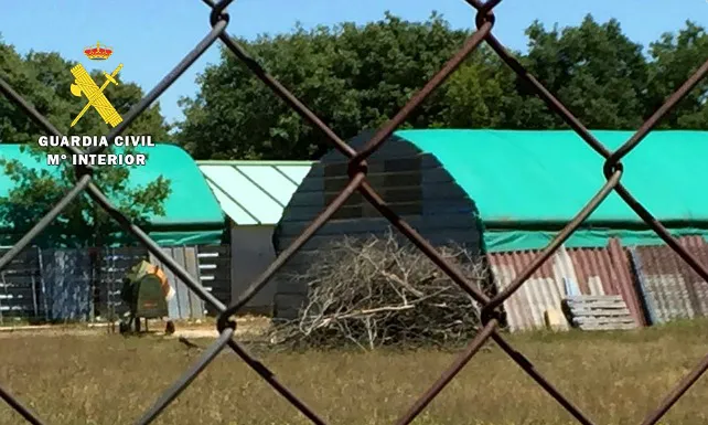 Detenido en Burgos un matrimonio por sustraer 20.000 kilos de madera