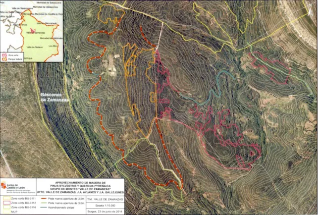 El Valle de Zamanzas descontento con el Plan de Aprovechamiento de Madera