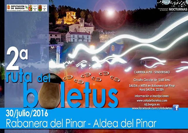 Vuelve la travesía nocturna de la ‘Ruta del Boletus’