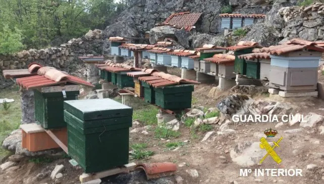 Investigado un apicultor por robo en colmenas