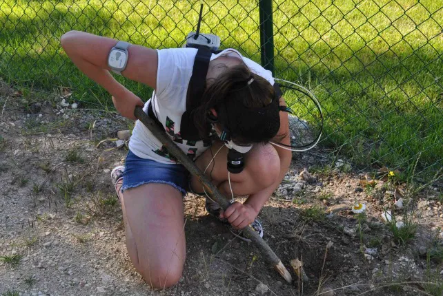Se buscan voluntarios jóvenes... y prehistóricos