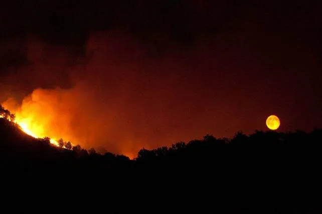Nueva alerta por incendios forestales los días 17 a 20 de julio