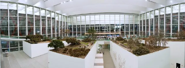 El MEH se alía con Google para participar en las nuevas exhibiciones virtuales de Historia Natural