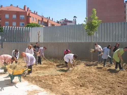 El Ayuntamiento adjudicará antes de acabar el año 34 parcelas de Huertos de Ocio