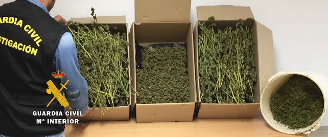 Tres detenidos por cultivar y elaborar marihuana en una vivienda en el Alfoz de Burgos