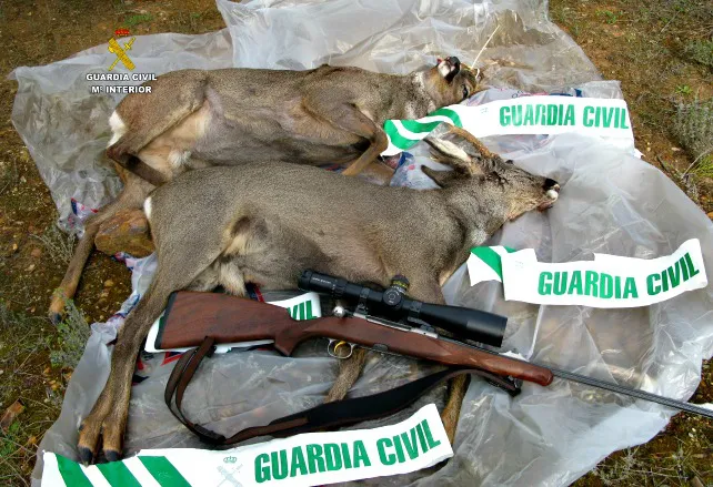 Finalizada la Operación Vareto para el control del furtivismo sobre el corzo
