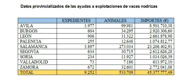 La Junta inicia el pago de 45,3 millones de euros a 9.252 explotaciones de vacas nodrizas