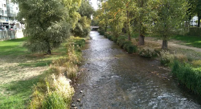 La Confederación Hidrográfica del Duero garantiza la movilidad de los peces del Arlanzón al paso por la ciudad de Burgos