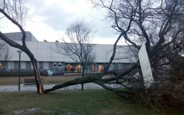 Burgos, a la cabeza de incidencias por viento