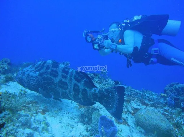 El especialista en buceo con tiburones,Pepe Esteban da una conferencia