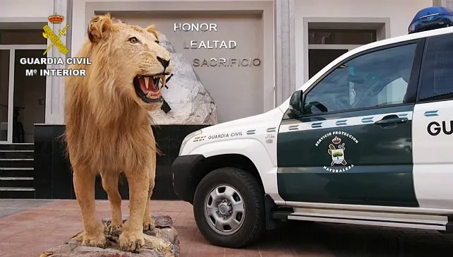 La Guardia Civil investiga a 59 personas por tráfico de especies en una operación coordinada por INTERPOL