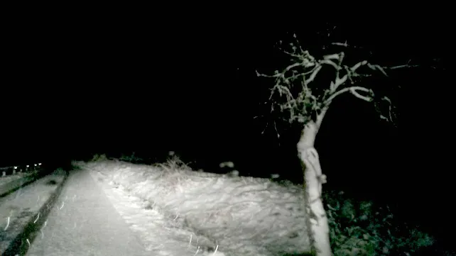 La Delegación del Gobierno en Castilla y León activa la fase de alerta por nevadas
