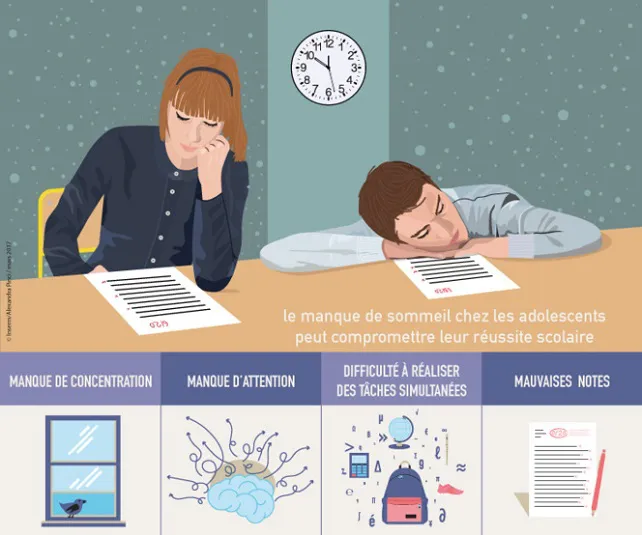La falta de sueño disminuye la materia gris del cerebro adolescente