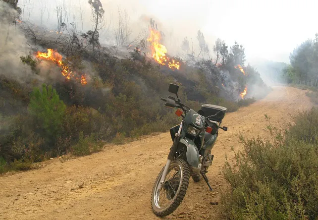 La Guardia Civil en Castilla y León detiene a 10 personas por delito de incendio forestal