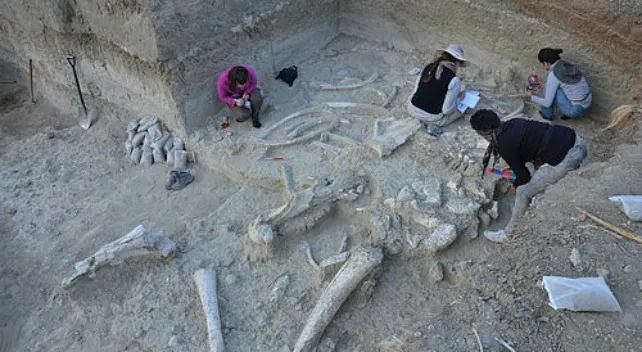 Hallados fósiles humanos y de fauna e industria lítica en la última campaña en la Garganta de Olduvai