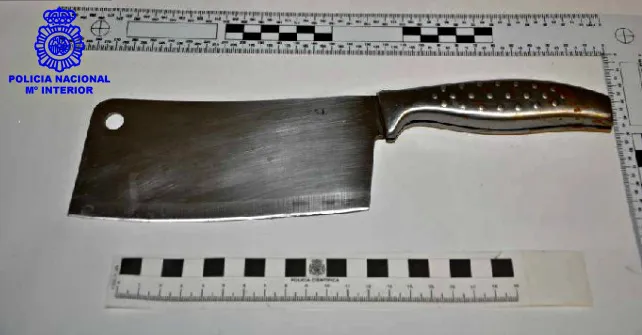 Un detenido de Riesgo Extremo por malos tratos en Aranda