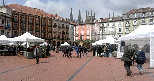 Los libreros celebran el 23 de abril