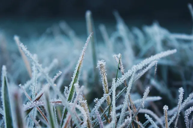 Provincia Burgos: Temperaturas mínimas en Burgos