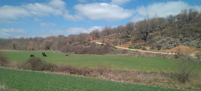 Salgüero de Juarros