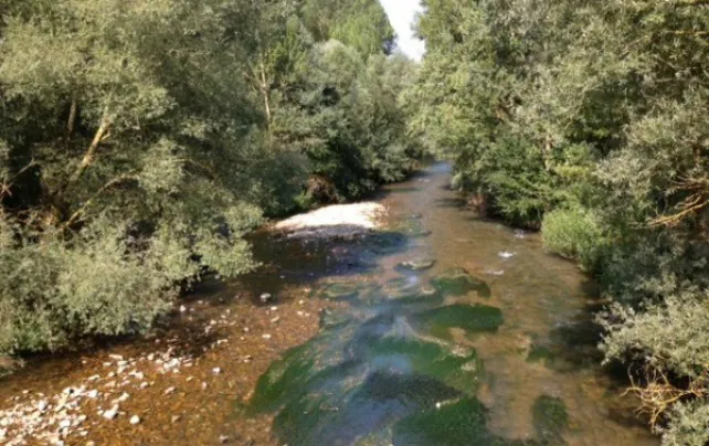 Cultura Burgos: UBUVerde, la Oficina Verde de la Universidad de Burgos, organiza un Paseo Interpretativo y Ambiental por el Cinturón Verde