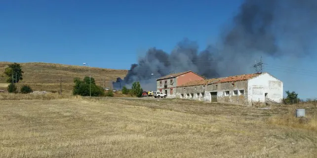 Castilla y León Burgos: La Junta destina 800.000 euros a tratamientos silvícolas para prevenir incendios