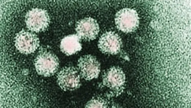 Sanidad Burgos: El HUBU se suma a la estrategia impulsada para eliminar la Hepatitis C tras atender 275 casos en el último año