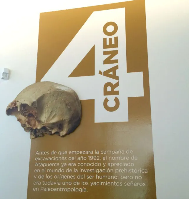 Cultura Burgos: El MEH se sumará a la Noche Blanca abriendo gratuitamente todas sus exposiciones
