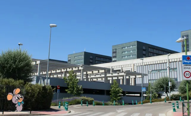 Confidencial Burgos: Ratones en el Hospital Universitario de Burgos