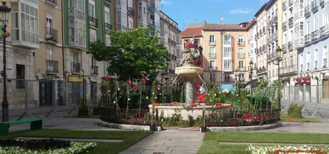 Cultura Burgos: Los floristas entregan los premios de los concursos de la Feria de las Flores