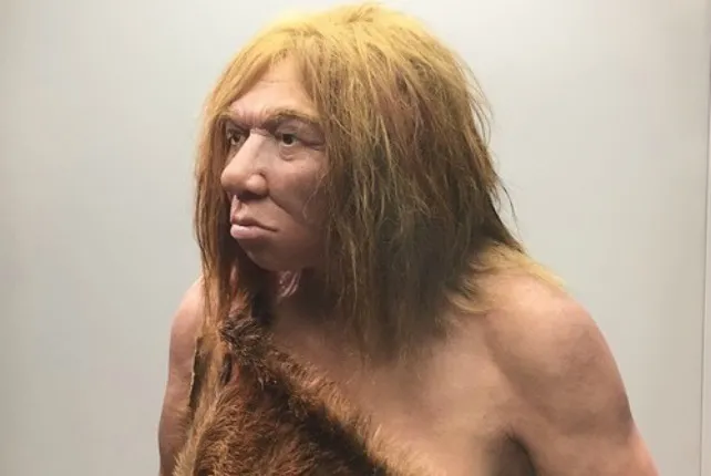 Actualidad Burgos: Las manos (y no la mente) del neandertal limitaban sus trabajos artesanales