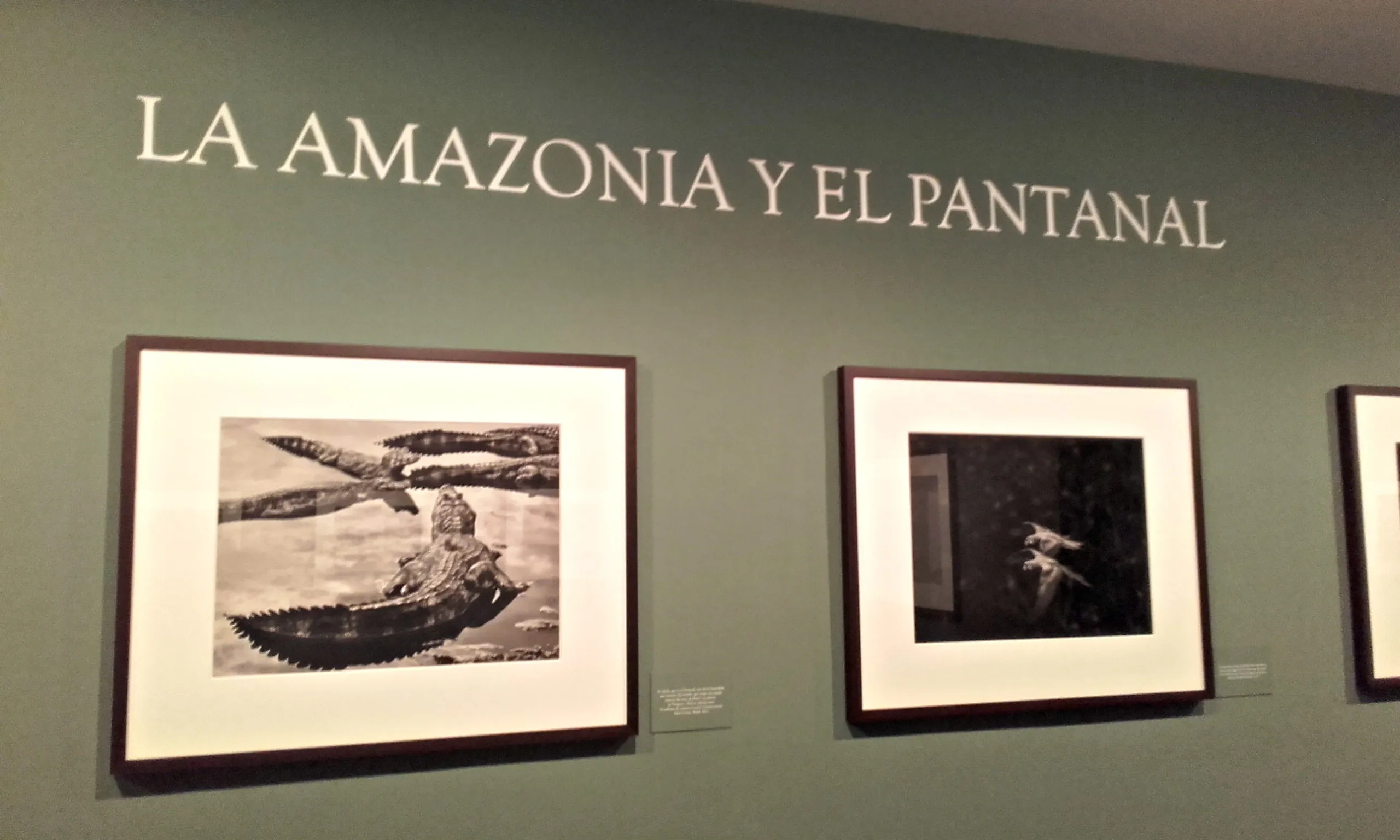 Cultura Burgos: Génesis, exposición fotográfica que nos acerca a lugares recónditos de la naturaleza