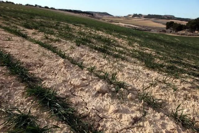 Actualidad Burgos: Aprobado el decreto que regula la sequía prolongada en la Cuenca del Duero