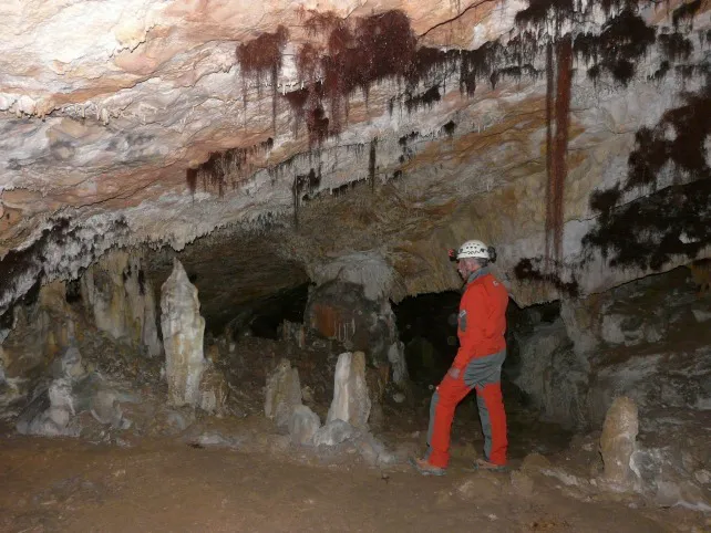 Cultura Burgos: Comienza el ciclo de conferencias para jóvenes sobre el proyecto científico y los yacimientos de Atapuerca
